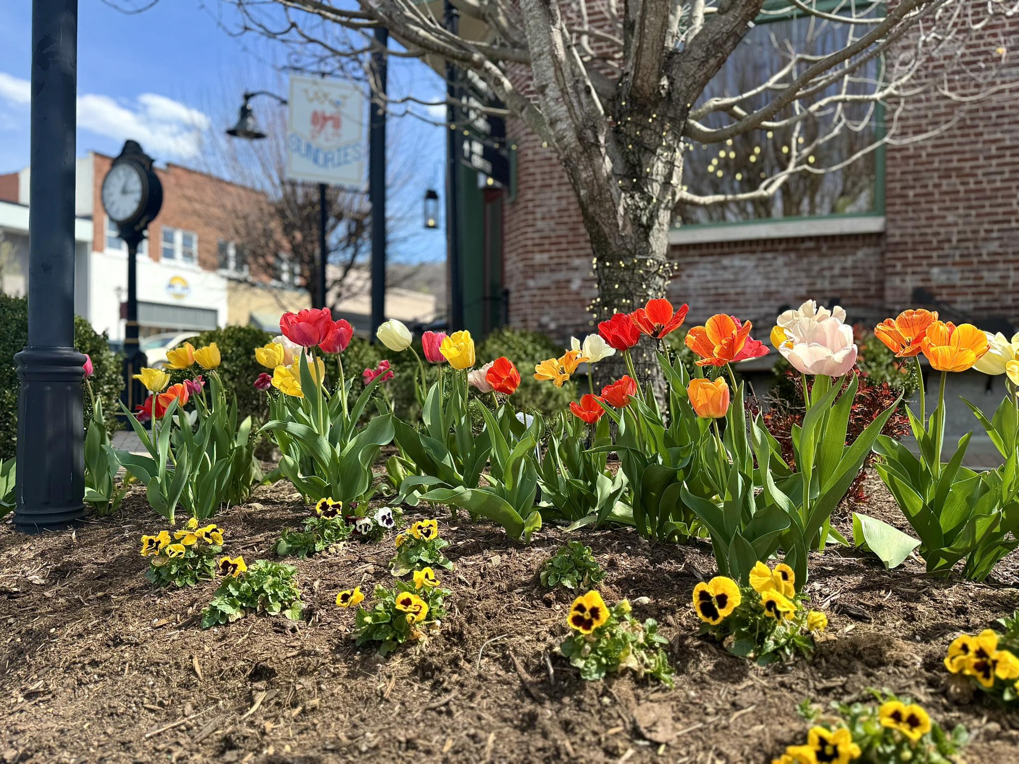 West Jefferson Sundries | West Jefferson NC