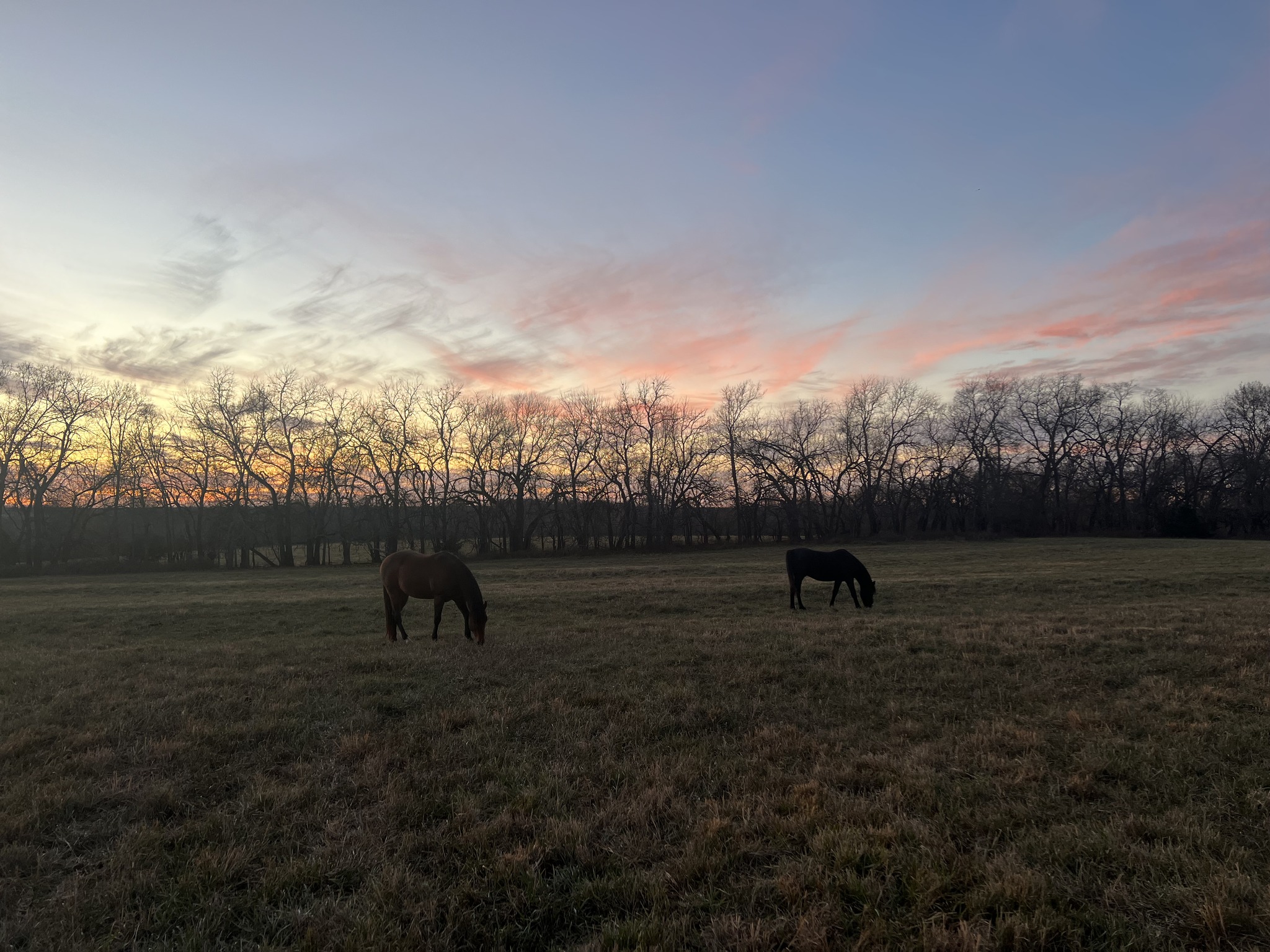 Live Free Ranch | Edgerton KS