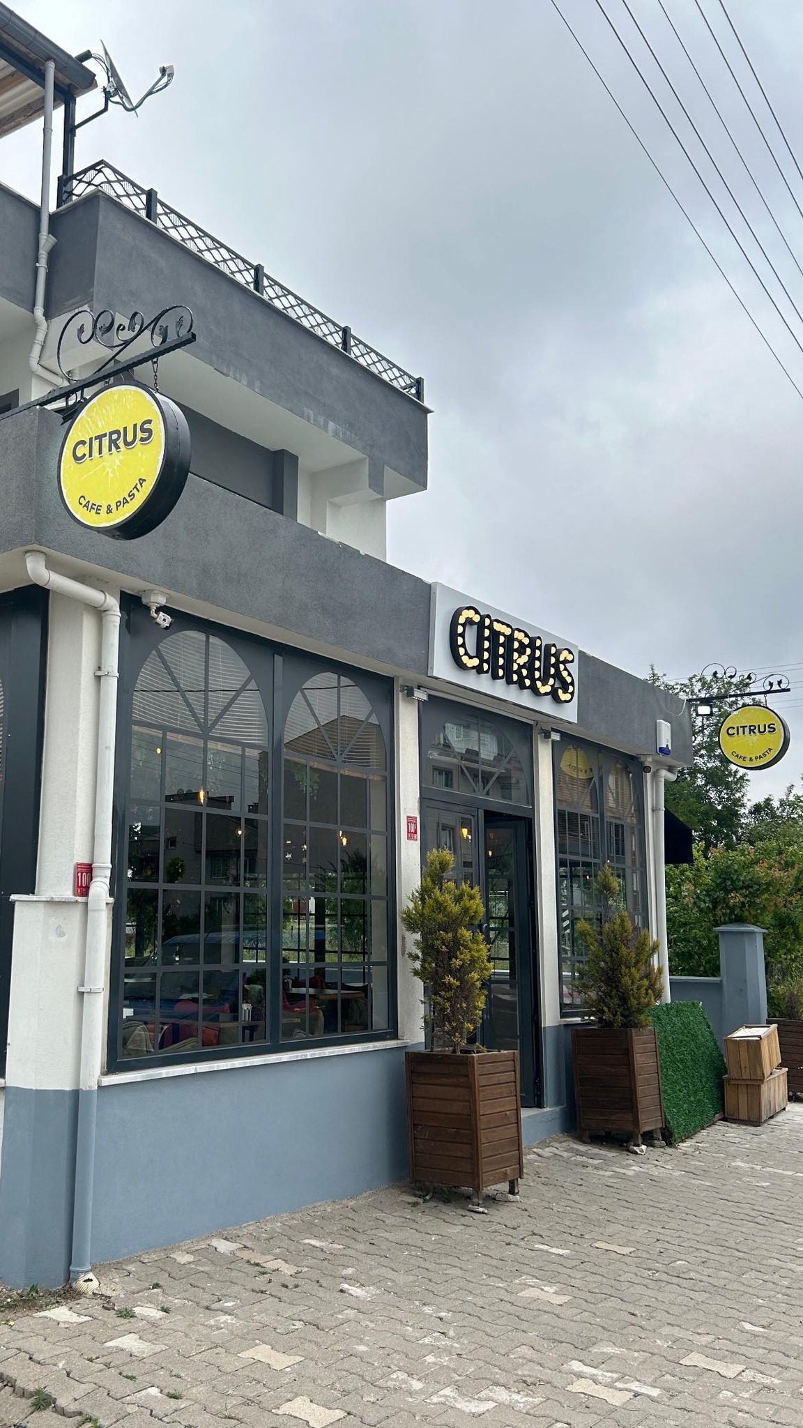 Citrus Pasta Cafe | Balıkesir