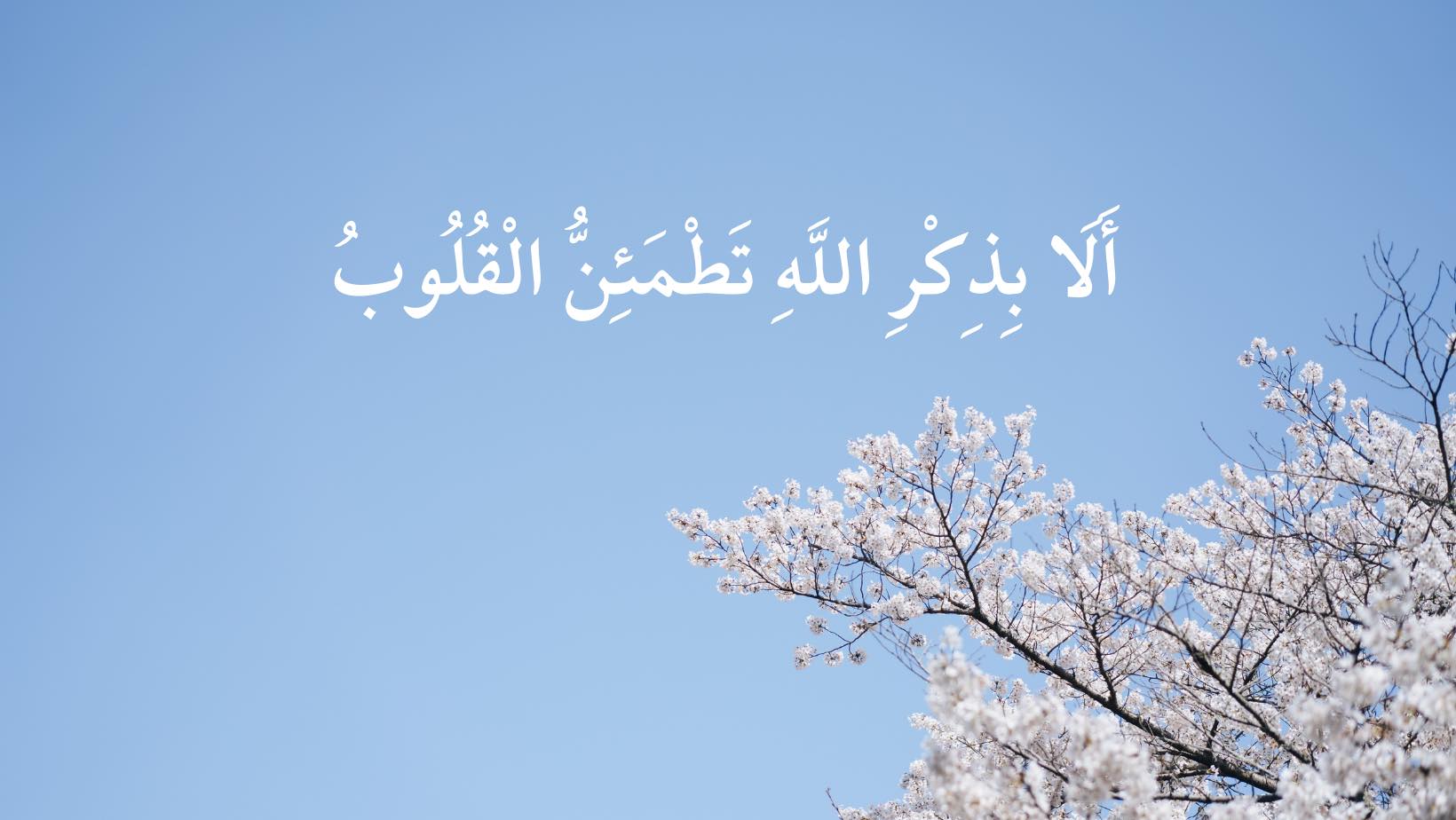 ئارامی دڵ Heart Peace