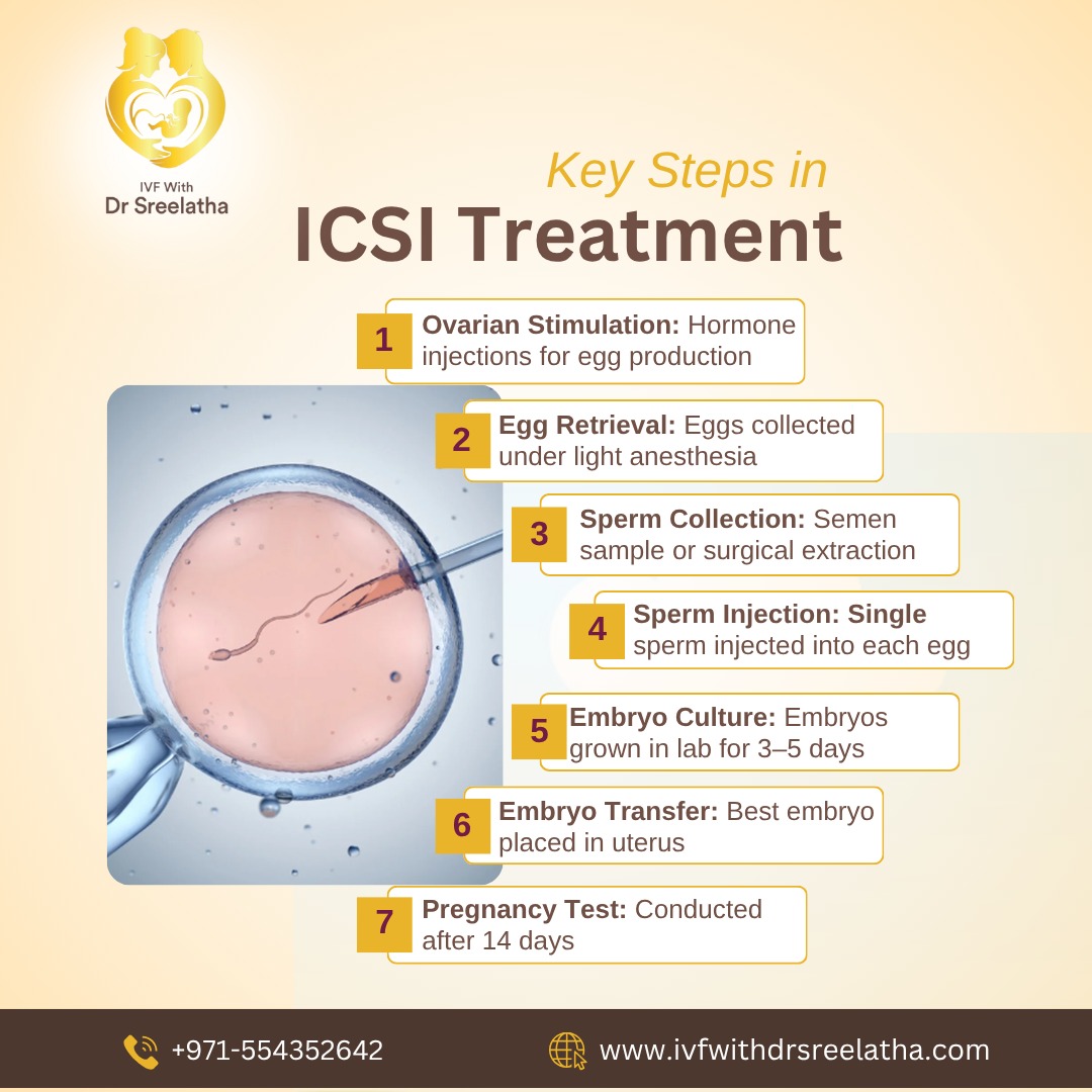 IVF - 🌸 Understanding the ICSI Treatment Process 🌸 ICSI ...
