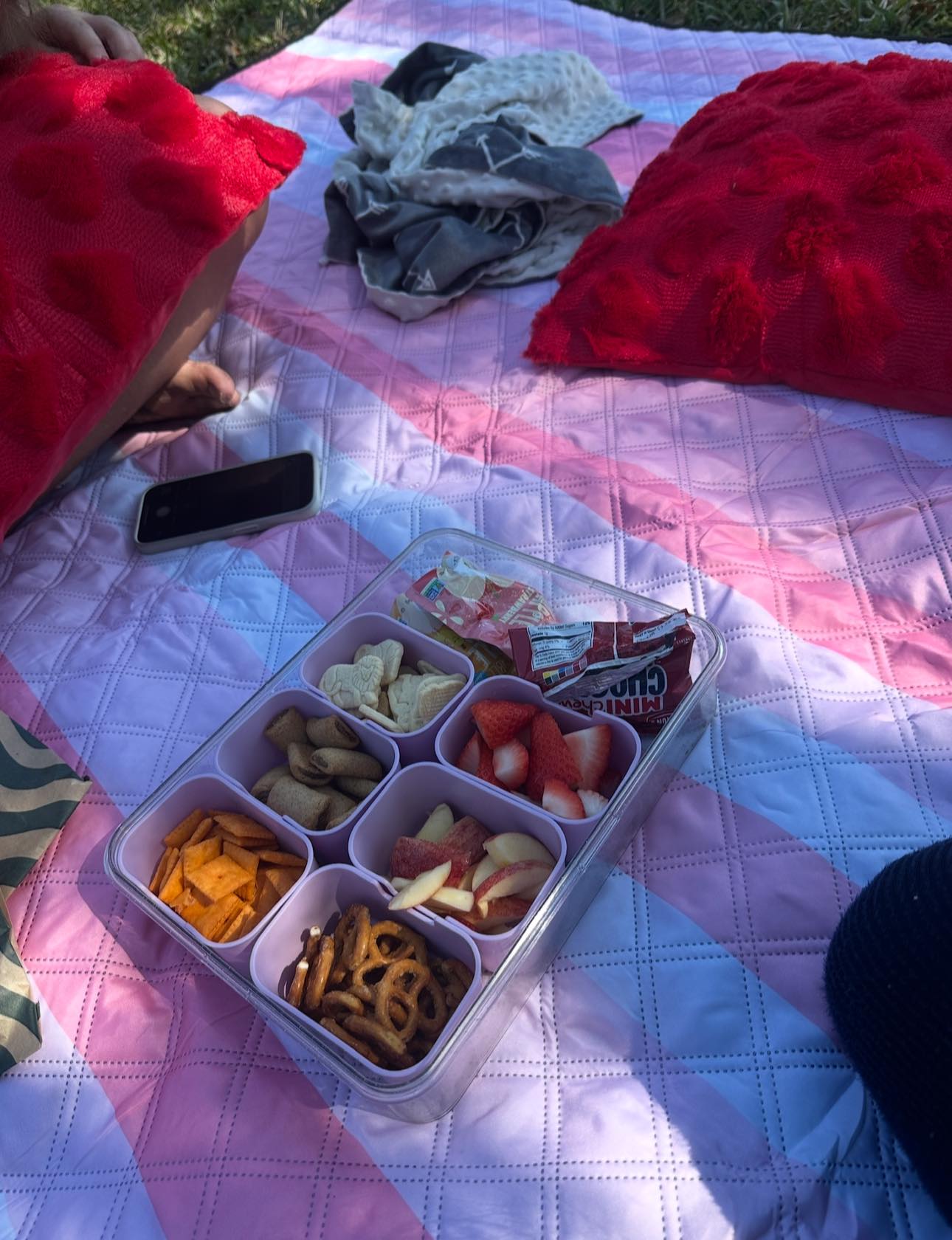 Snack box not dishwasher safe