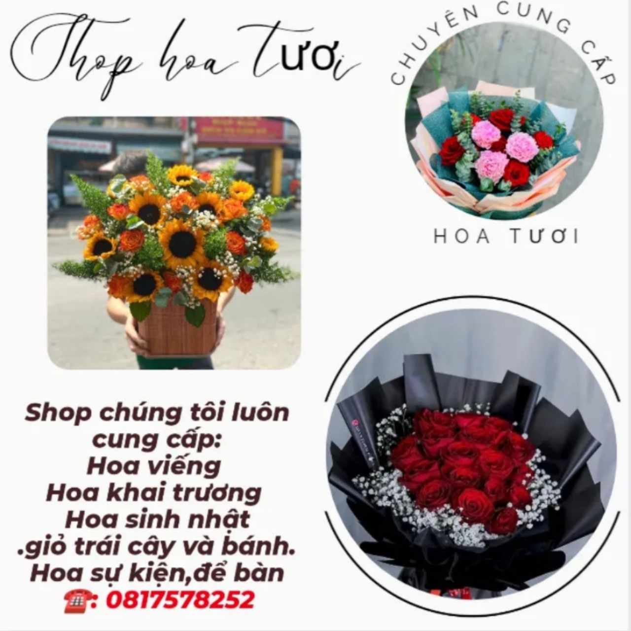 Shop Hoa Tươi TX Giá Rai - Bạc Liêu/Giá Rẻ