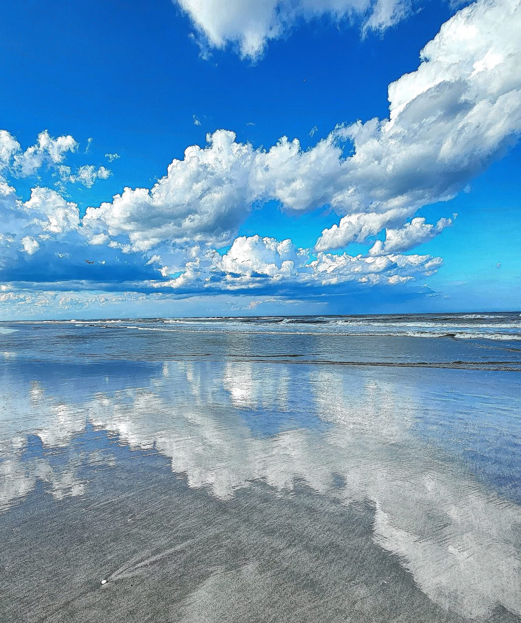 Your Elevated Stays | Palm Coast FL