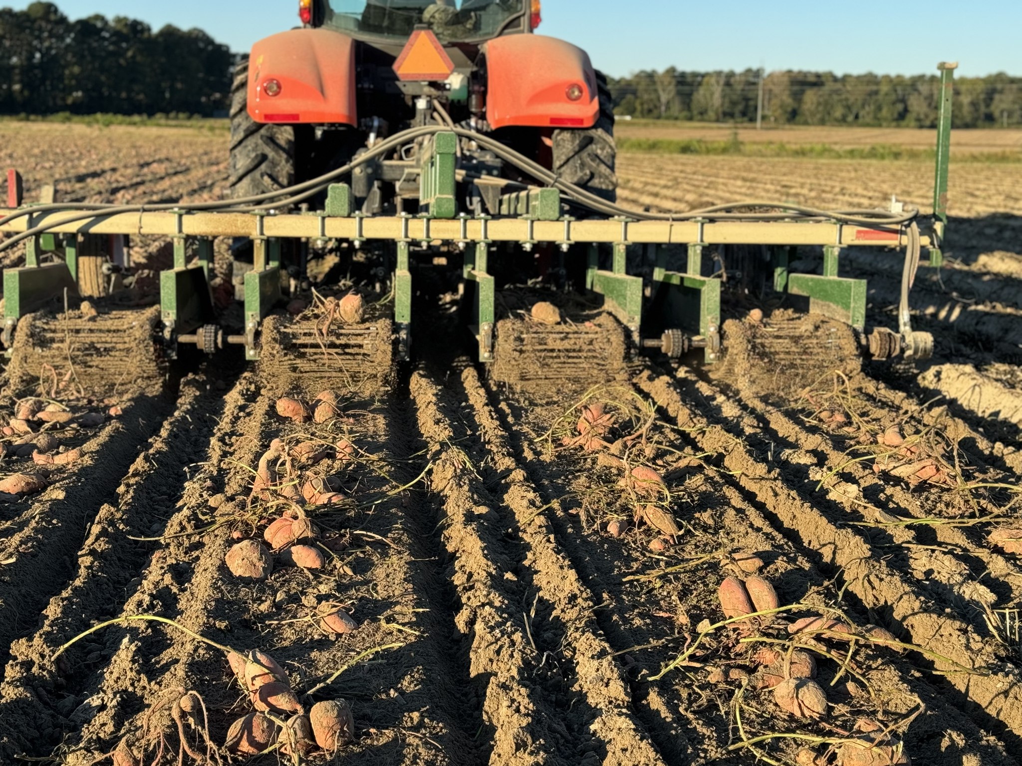 Southern Roots Farming | Chadbourn NC