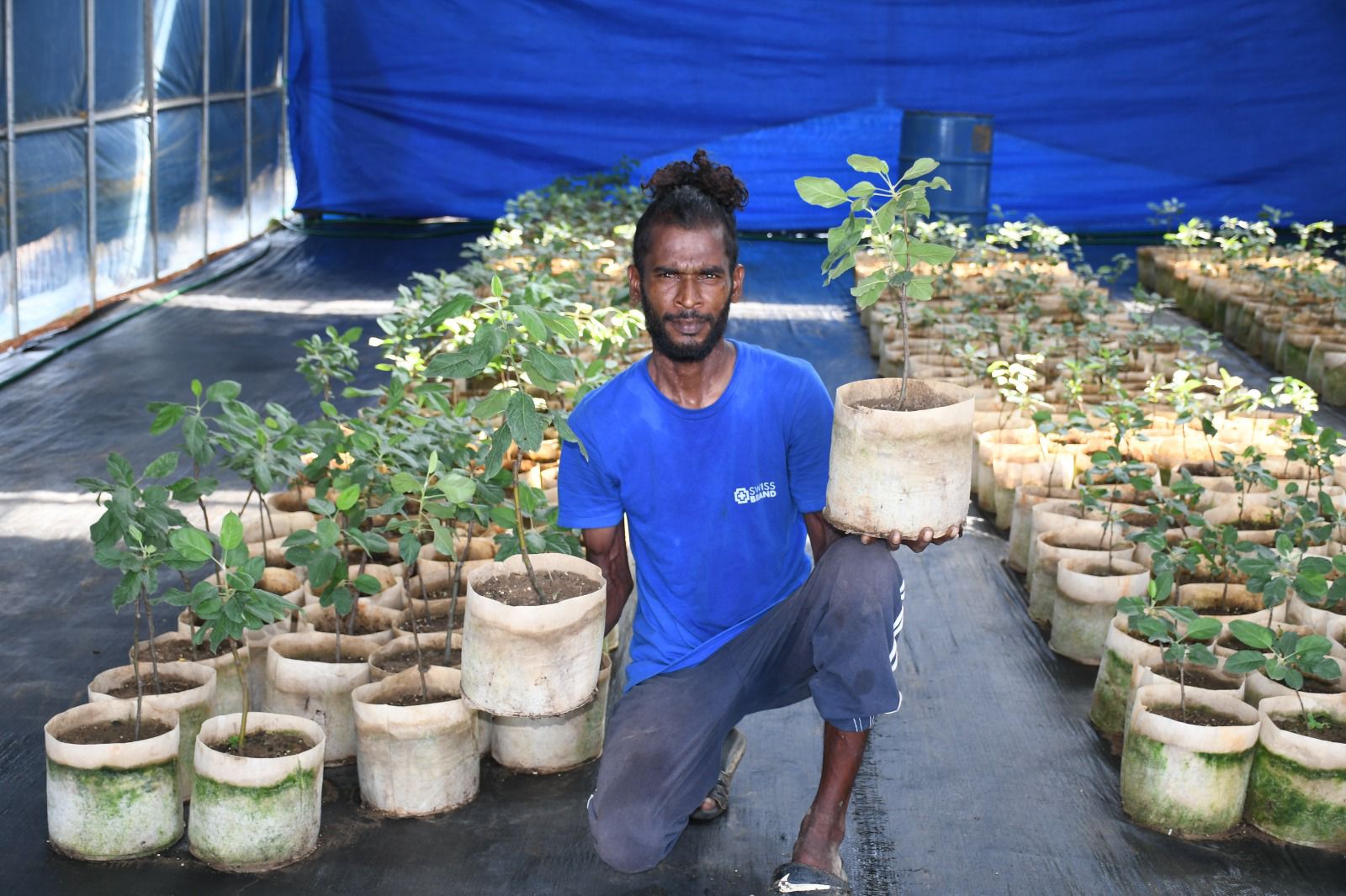 Apple Tree Research Center | Chaguanas