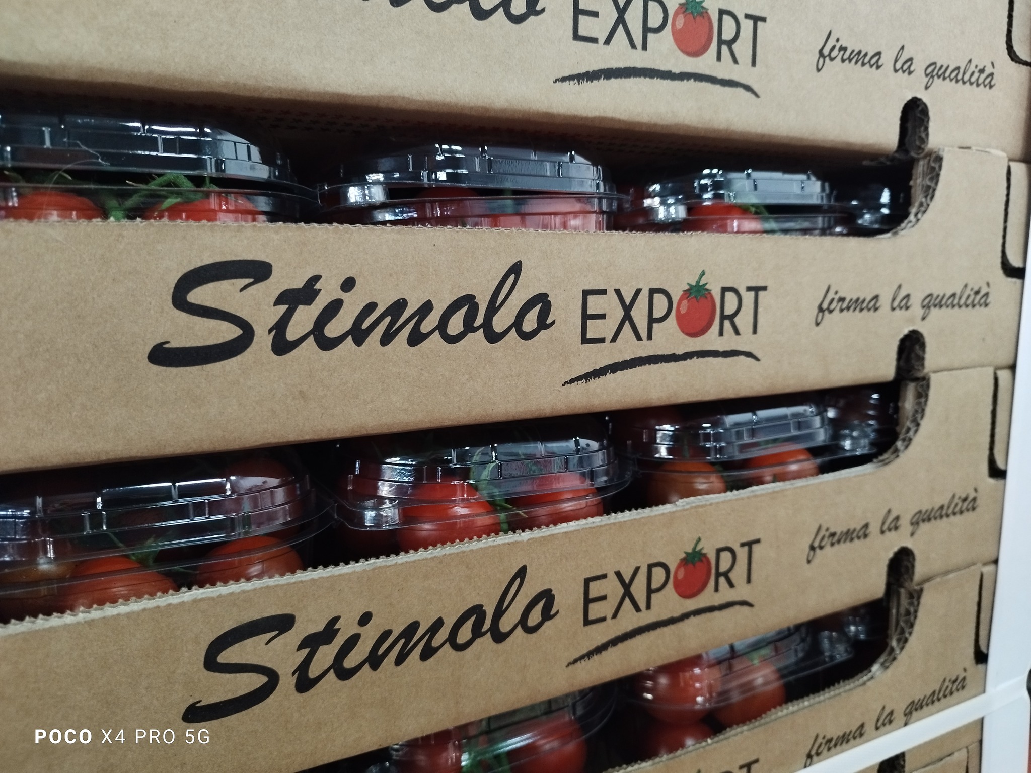 Stimolo Export | Vittoria