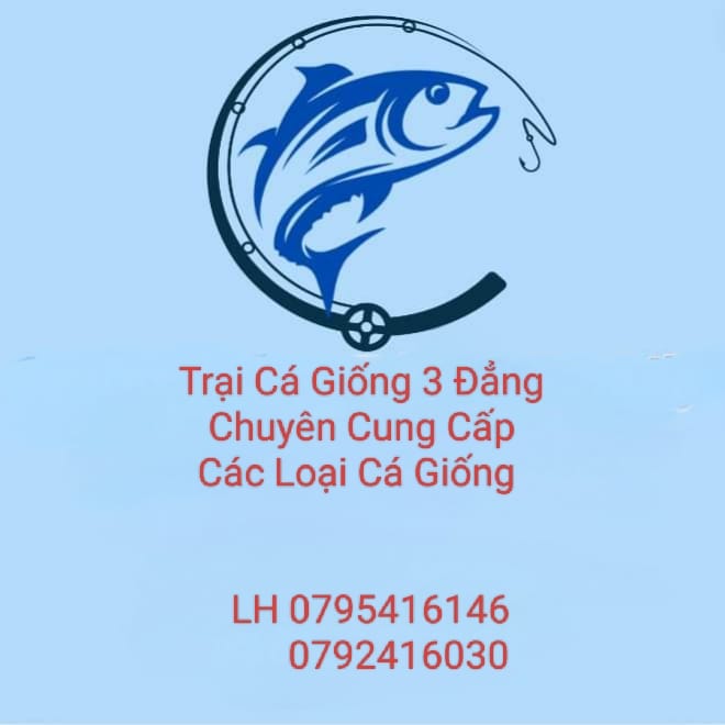 Trại Cá Giống 3 Đẳng