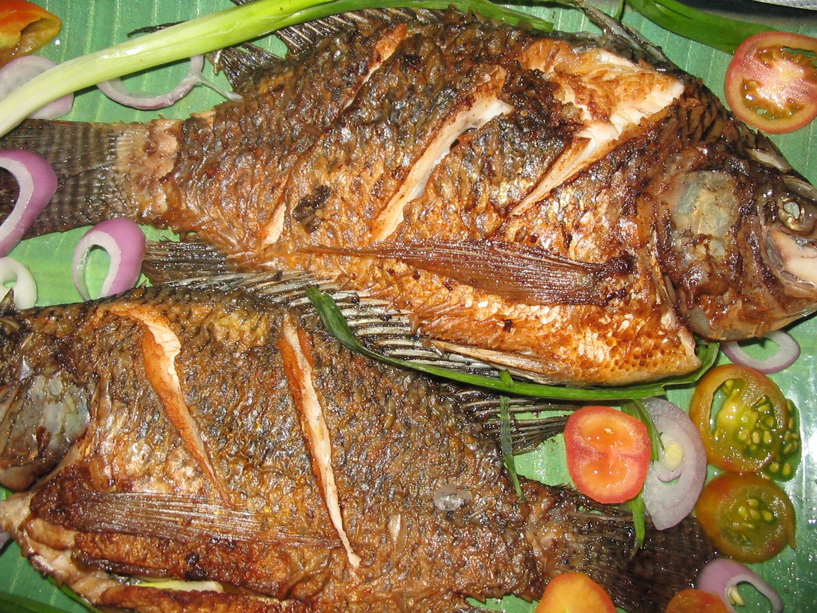 DALA FISH Project