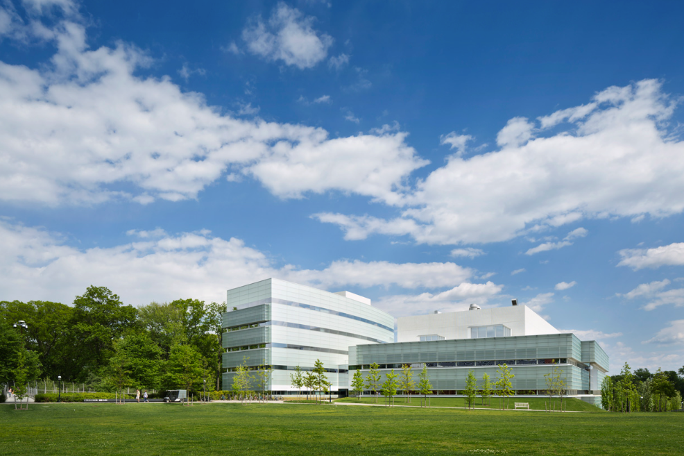 Princeton Brain Development Lab | Princeton NJ
