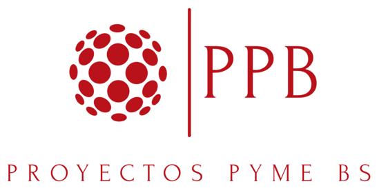 Proyectos Pyme BS