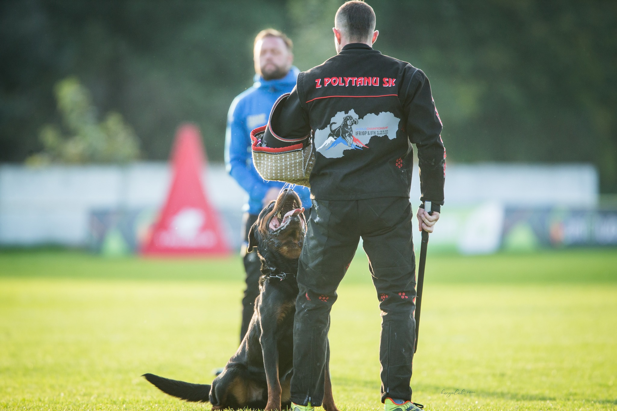 Team Extreme Rottweiler