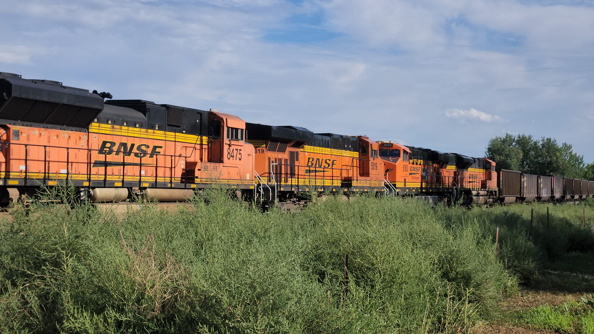 MEGA train!!! MY MOST FAVORITE TRAIN IN THE WORLD