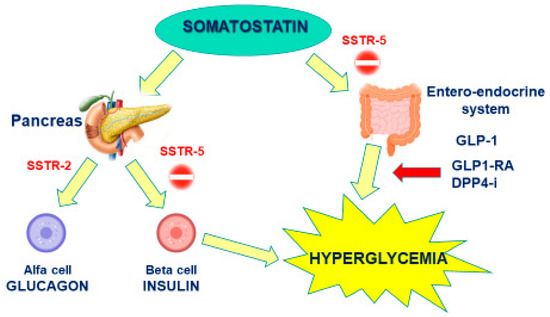 Glipizide-induced refractory hypoglycemia