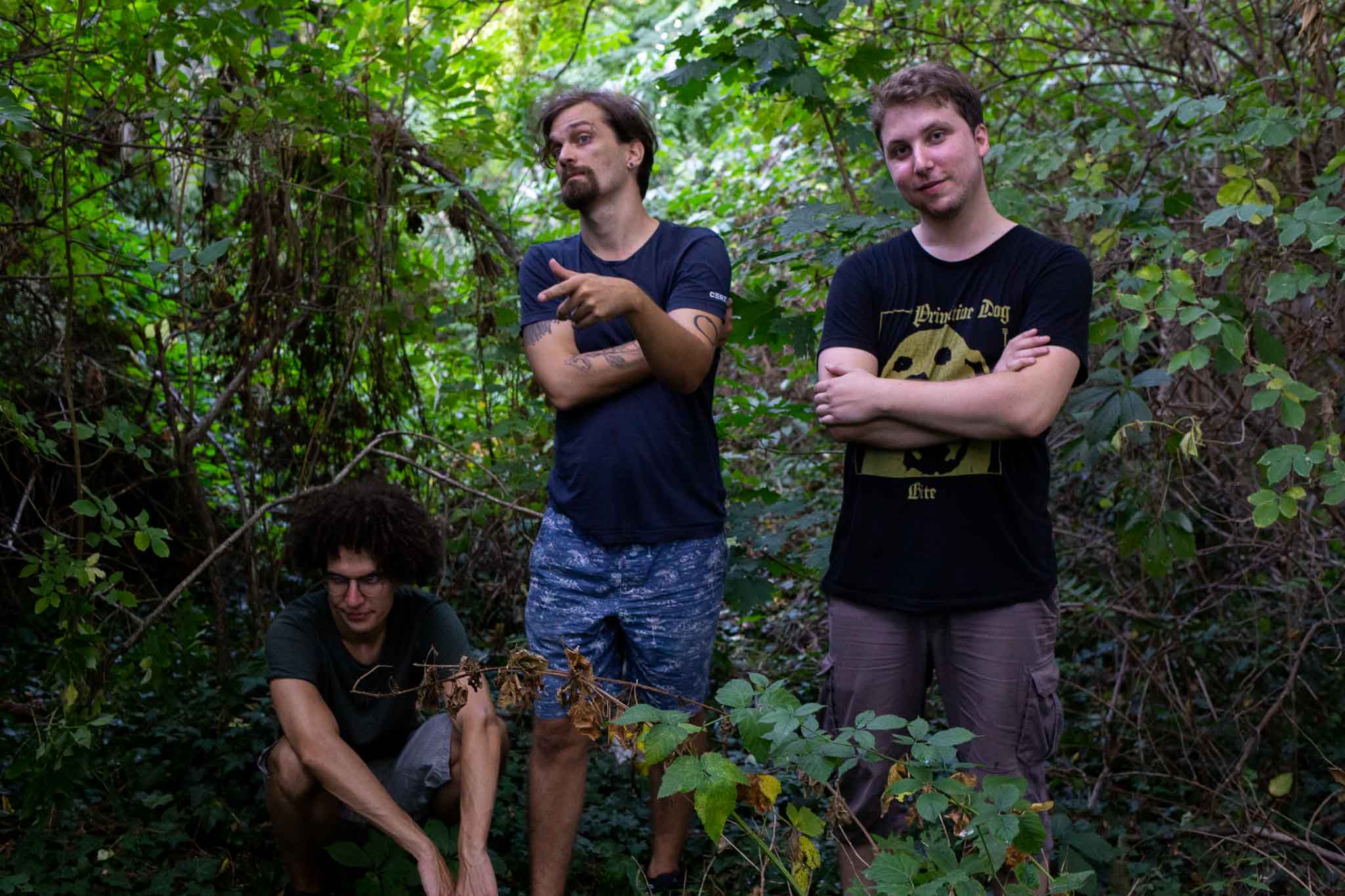 Shell the band