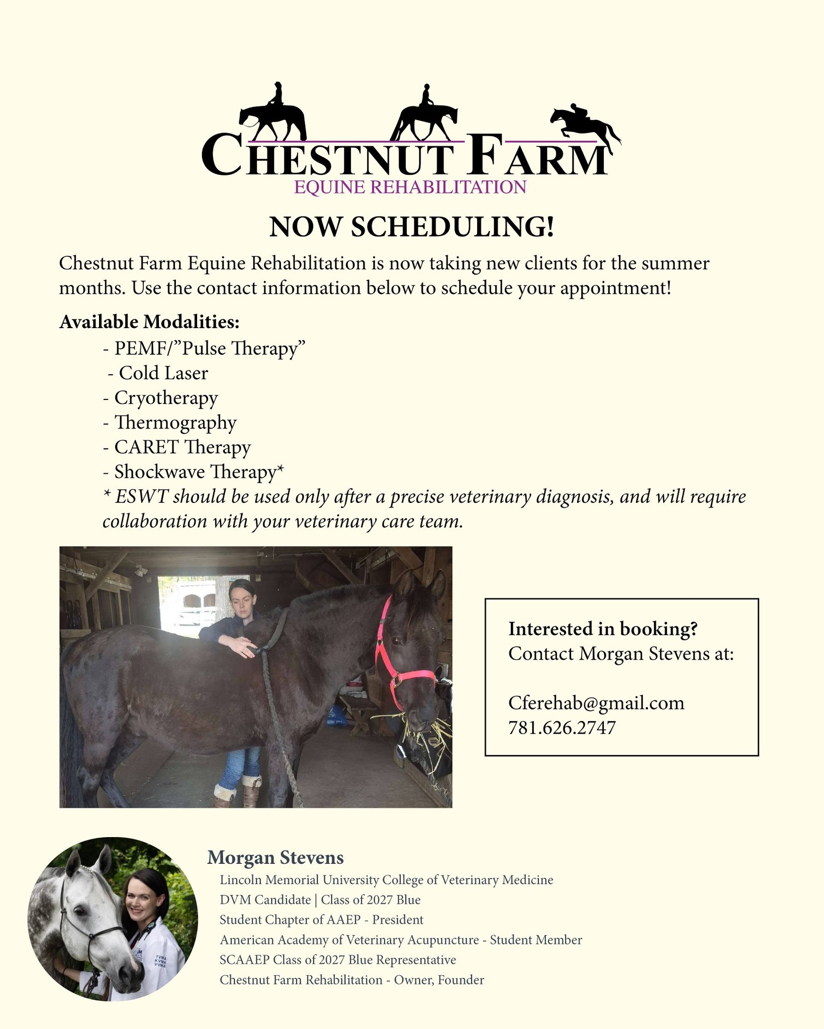 Chestnut Farm Equine Rehabilitation
