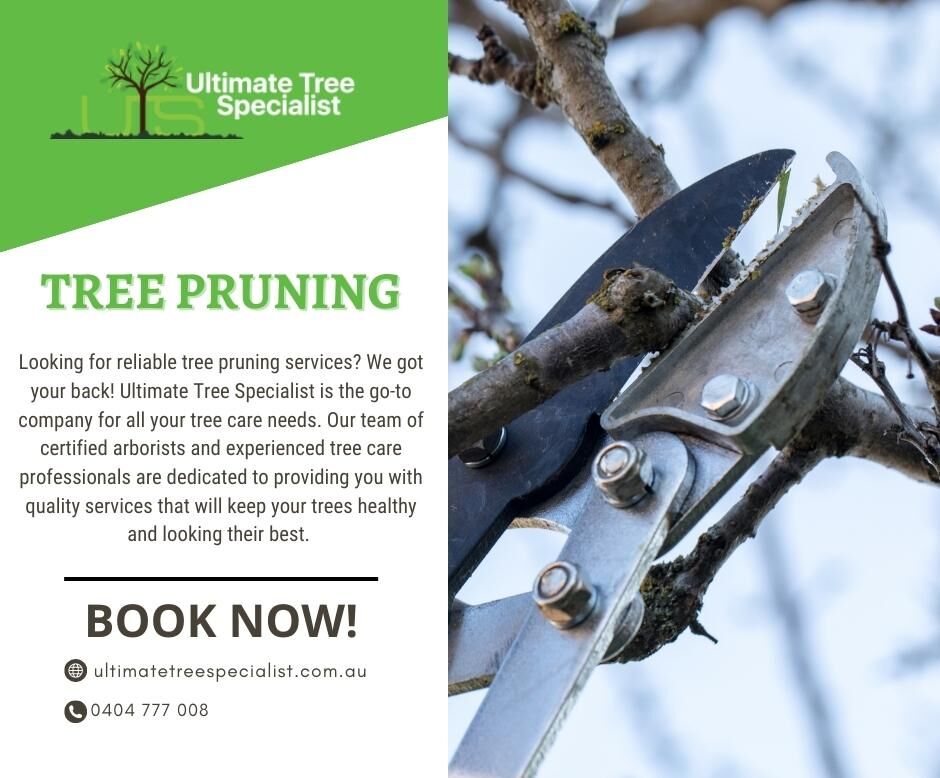 Ultimate Tree Specialist Sydney | Sydney NSW