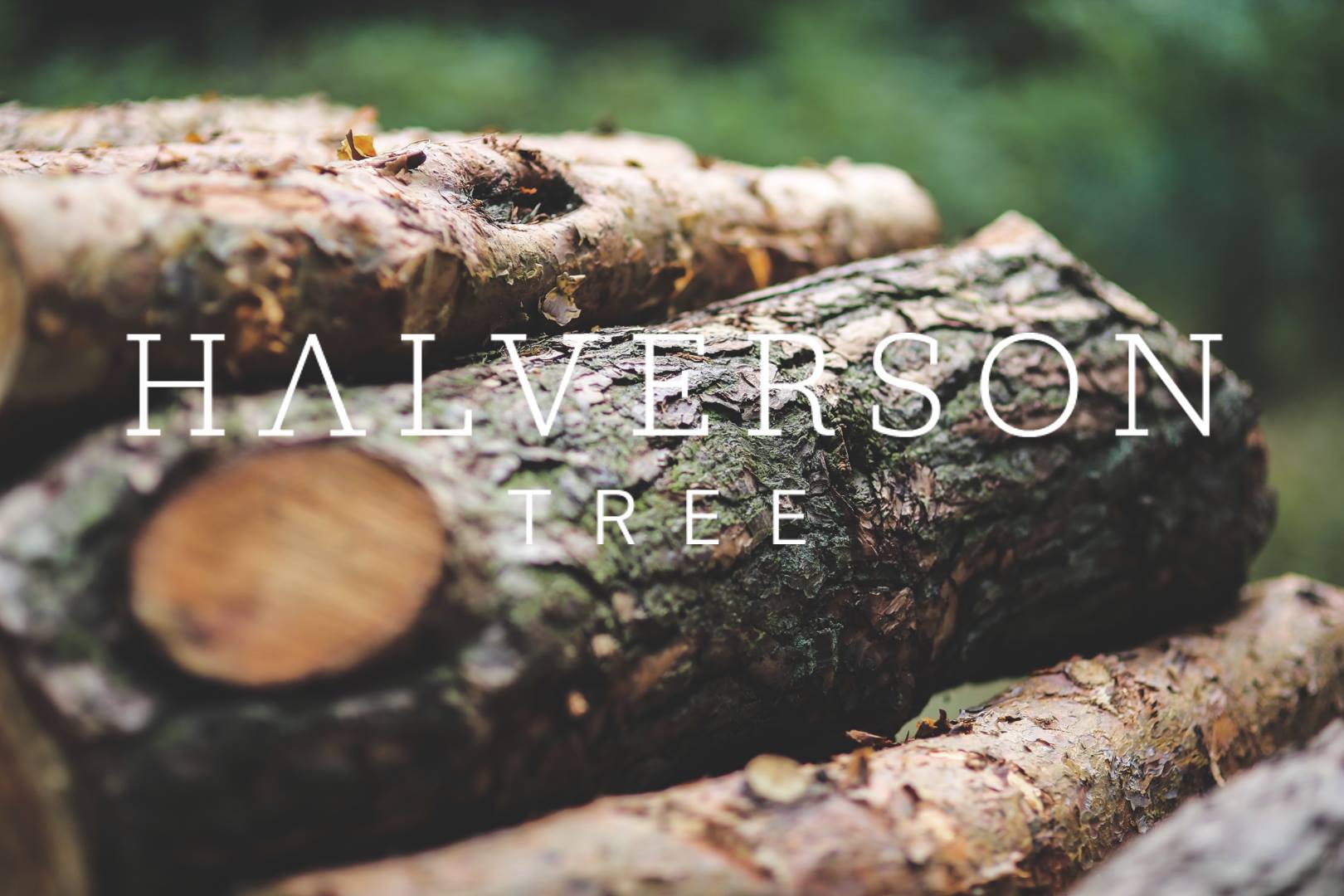 Halverson Tree | White Bear Lake MN