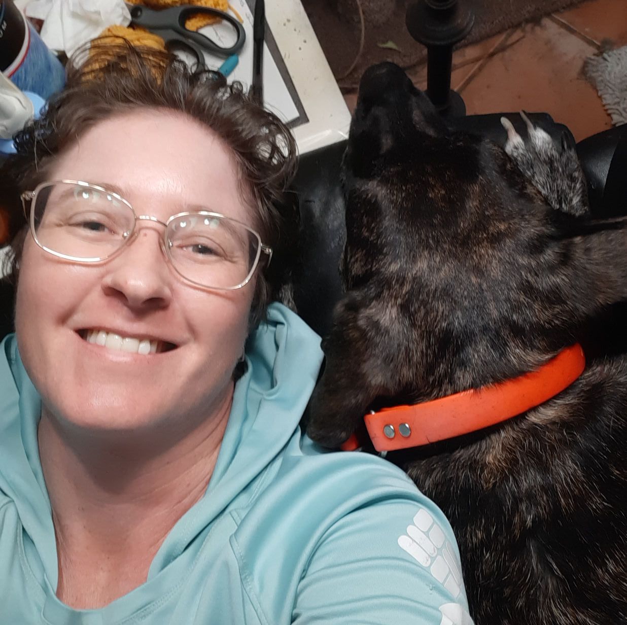 RVing With Dogs | My dog got pyoderma on her chin and I was nowhere ...