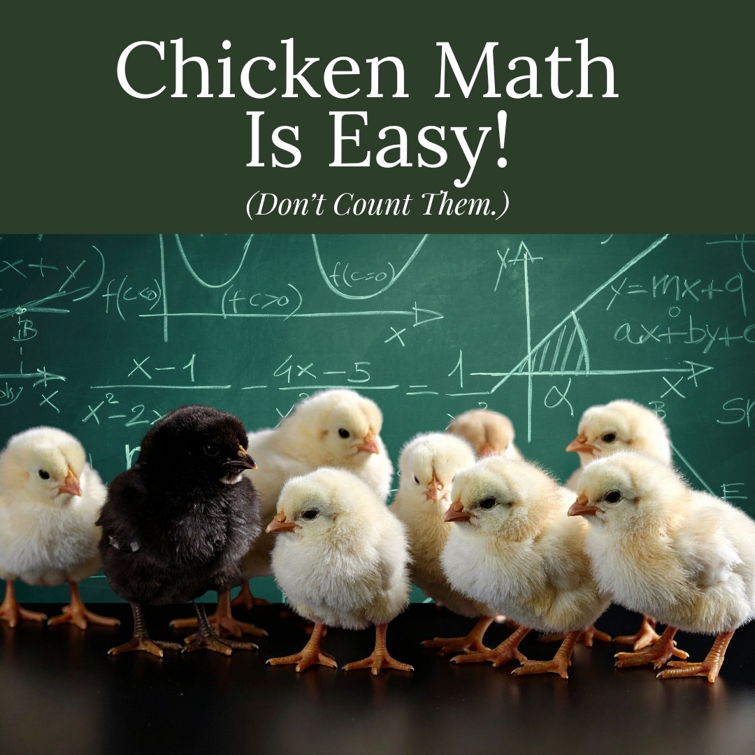 🐔 Do you believe in Chicken Math?... - Hieden Feed & Supply | Facebook