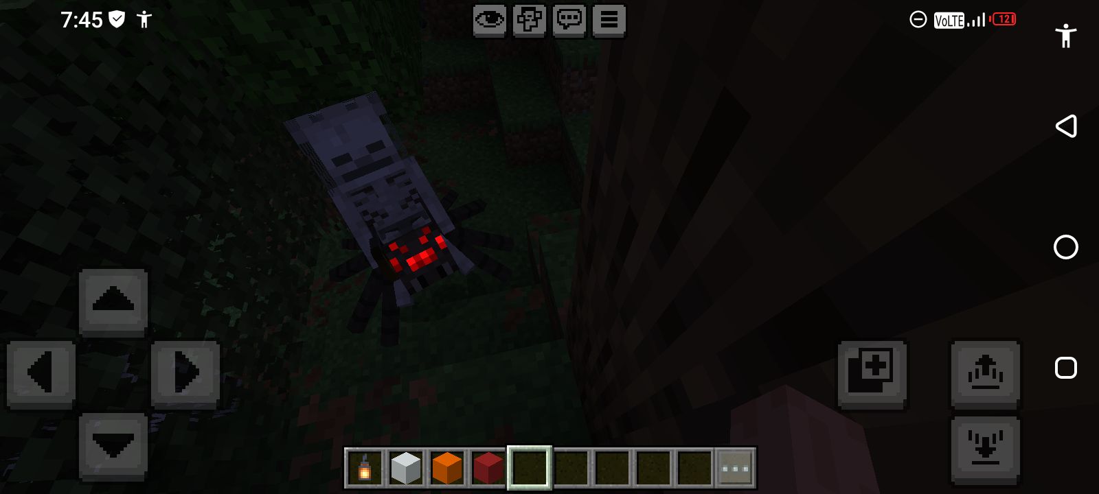 Rare Minecraft Mobs List