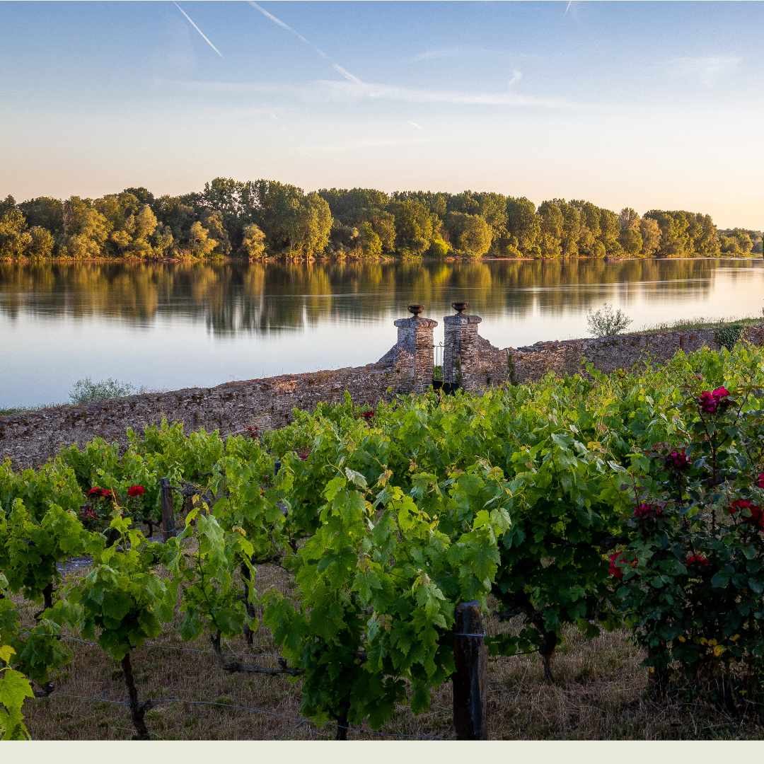Club des CEP’s de Loire | Turquant