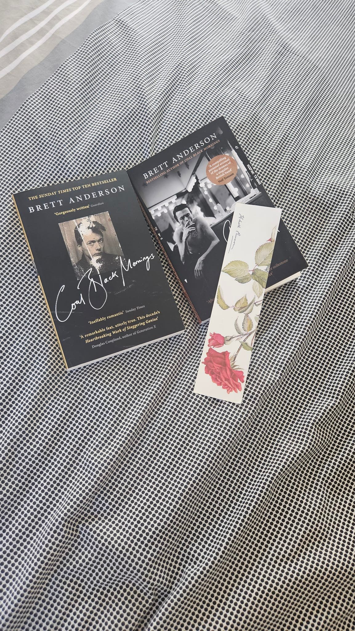What did you think of the Suede book?