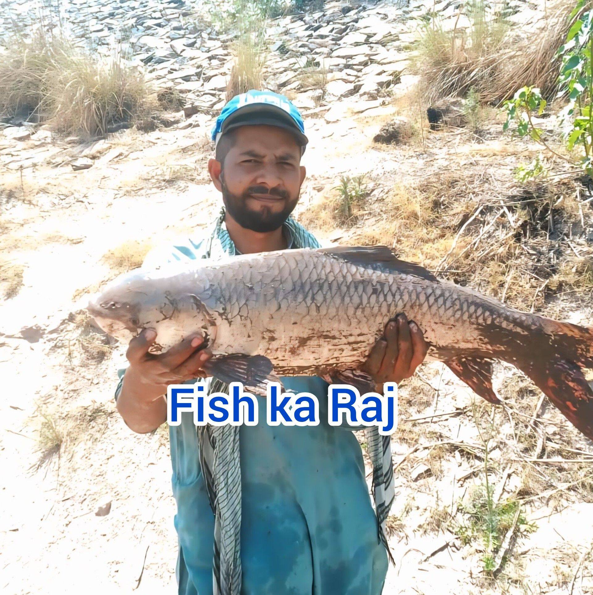 Mashallah aaj ka hamara shikar #fish #fishing #fishingadventure # ...