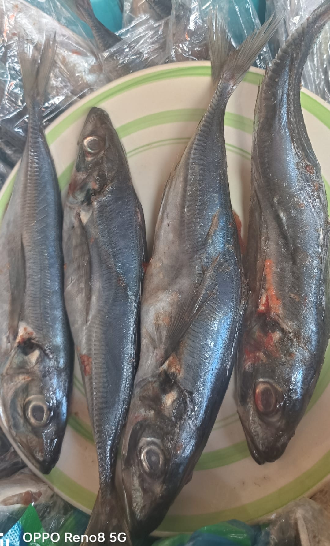 KALUMBILA AND SOLWEZI | Tasty 😋 😋 big mackerel( tomso) 🐟 🐟 fish for ...
