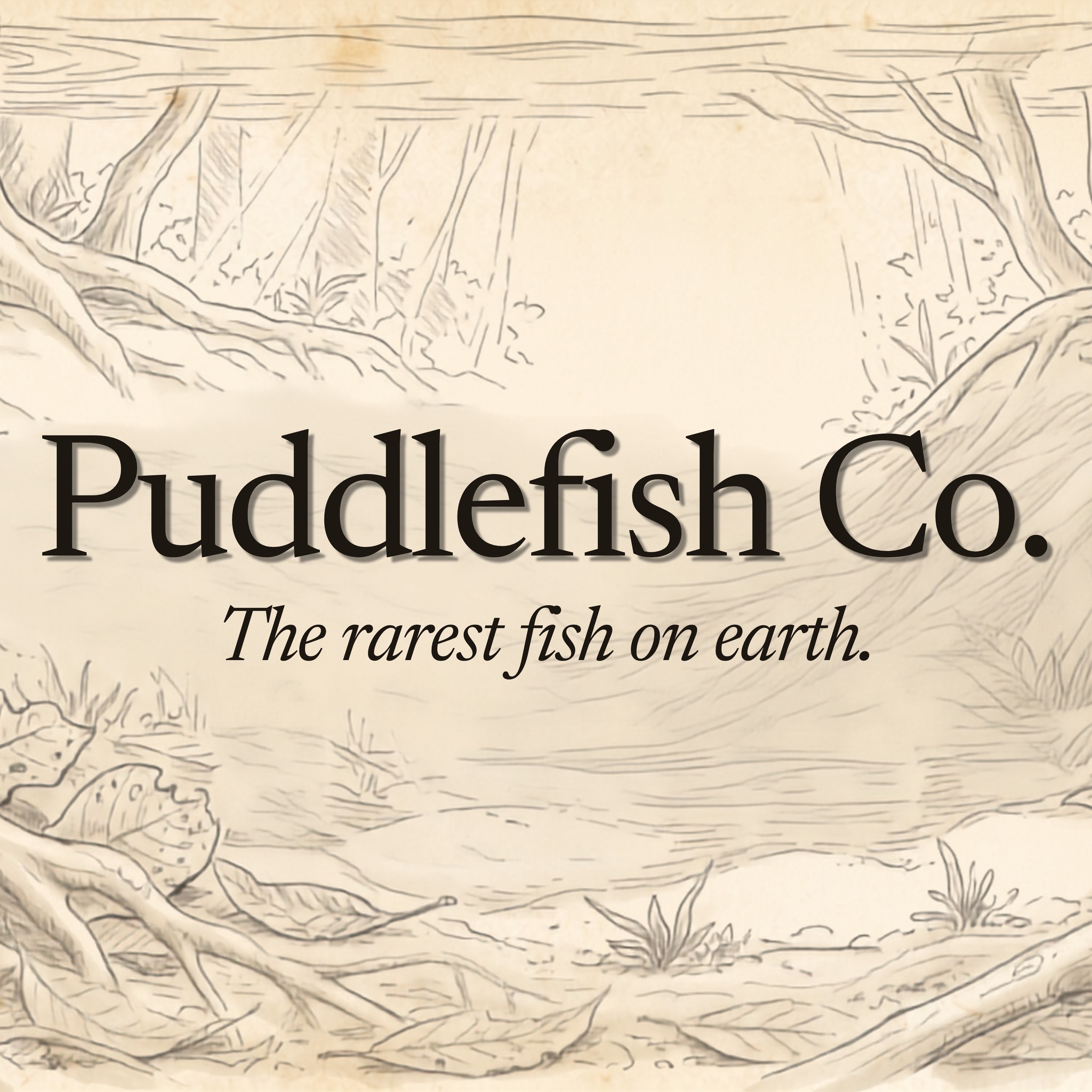 Zero table manners. Wild Corydoras trilineatus at dinner. There are ...
