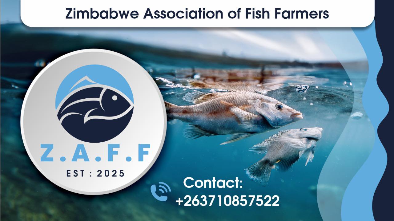 Zimbabwe Association Of Fish Farmers - ZAFF
