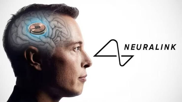Neuralink • Brain chips | Transhuman | Cyborgs News | Facebook