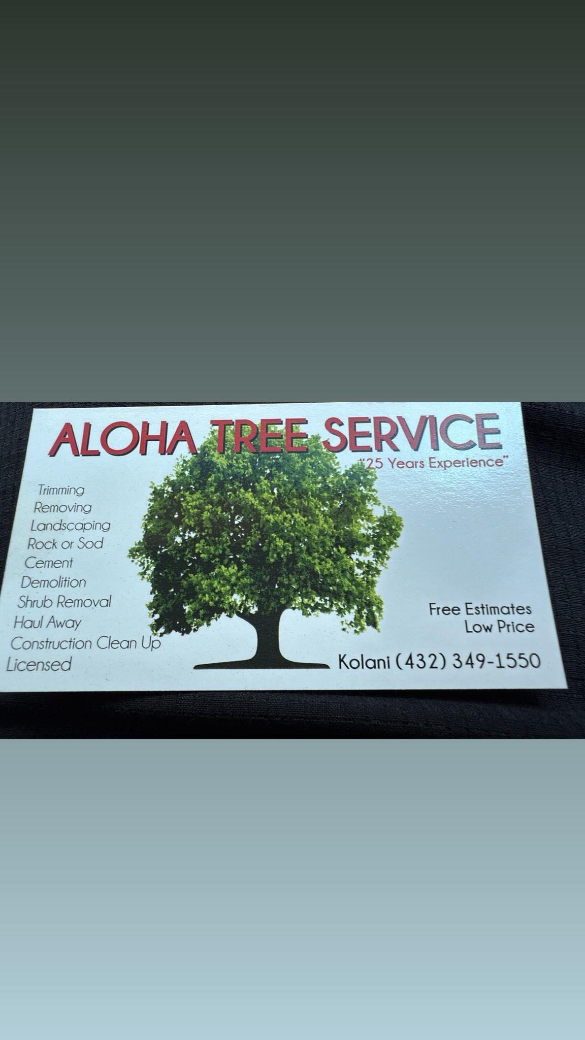 Aloha tree service