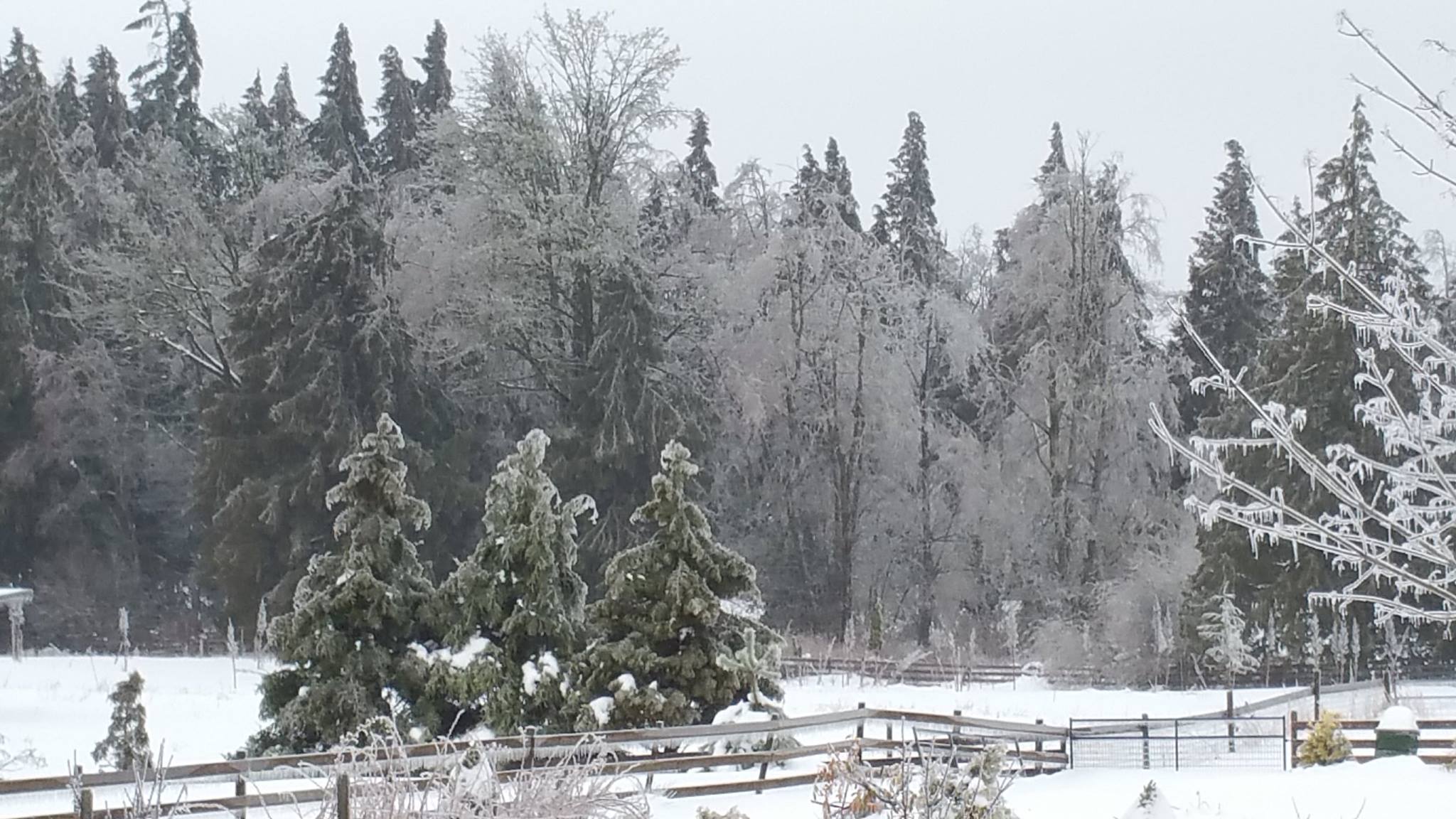 Copper Moon Ranch | Abbotsford BC