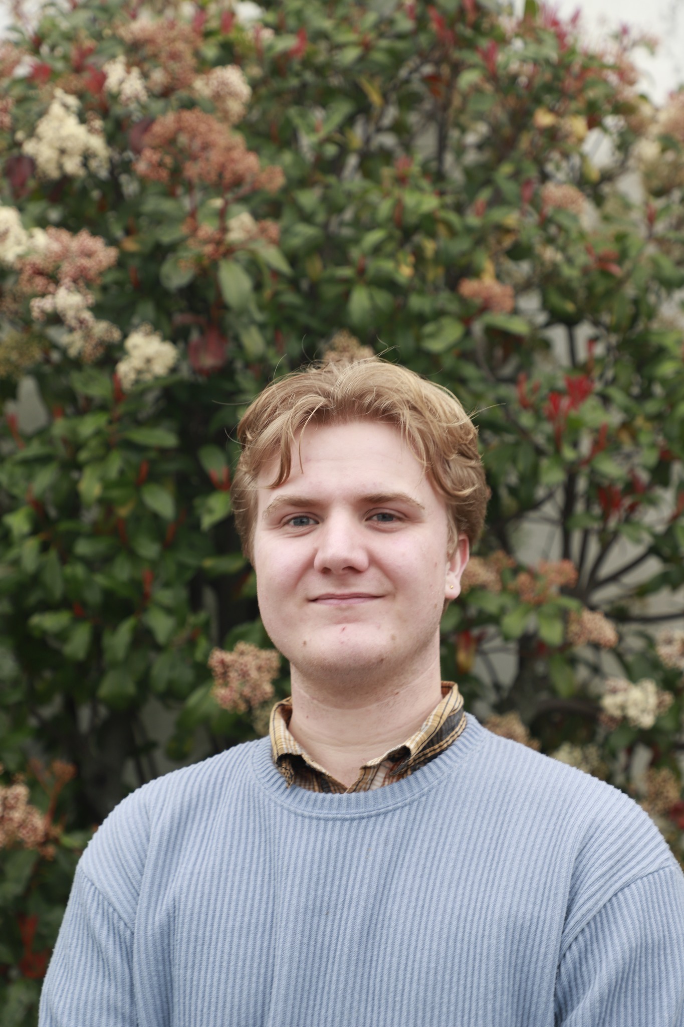 Joshua Moss - Alliance for Palmerston North