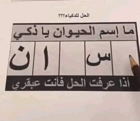 اهل القران 📖 🤍 | Facebook