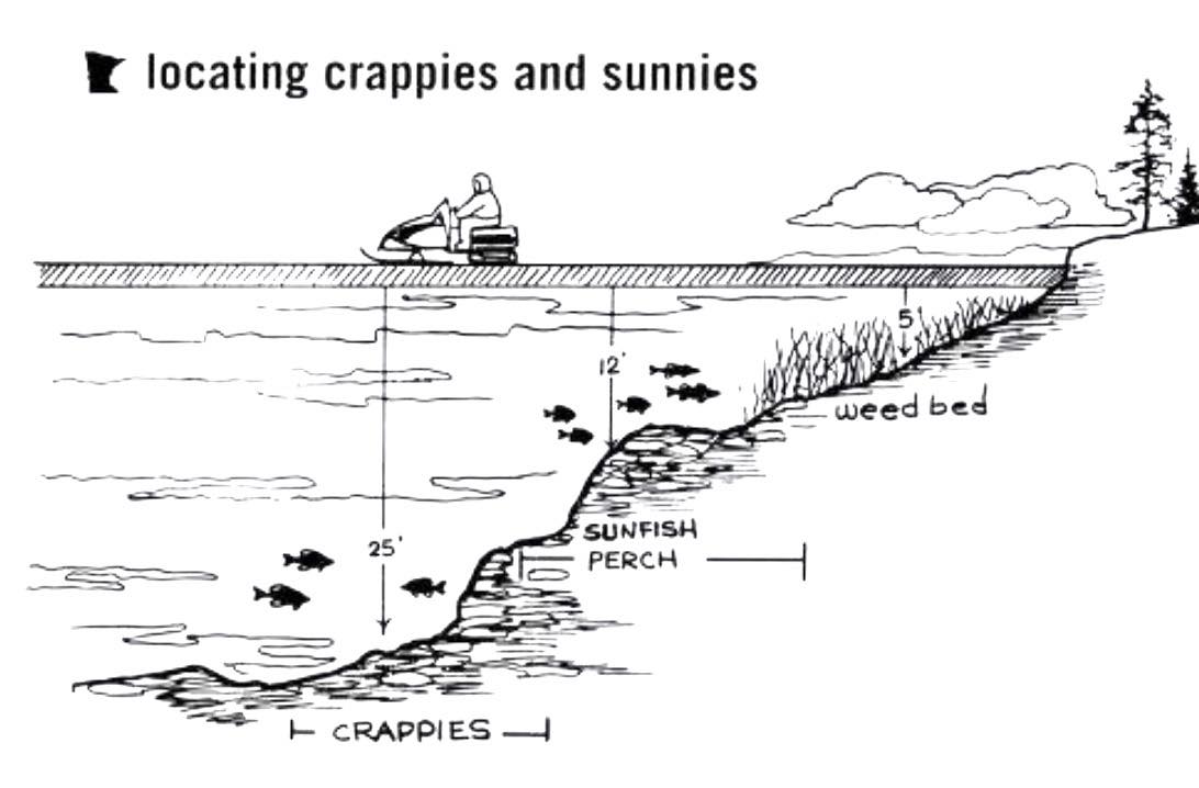 The Old - Finding Crappie: Old-School Wisdom That Still Works From: Ron ...
