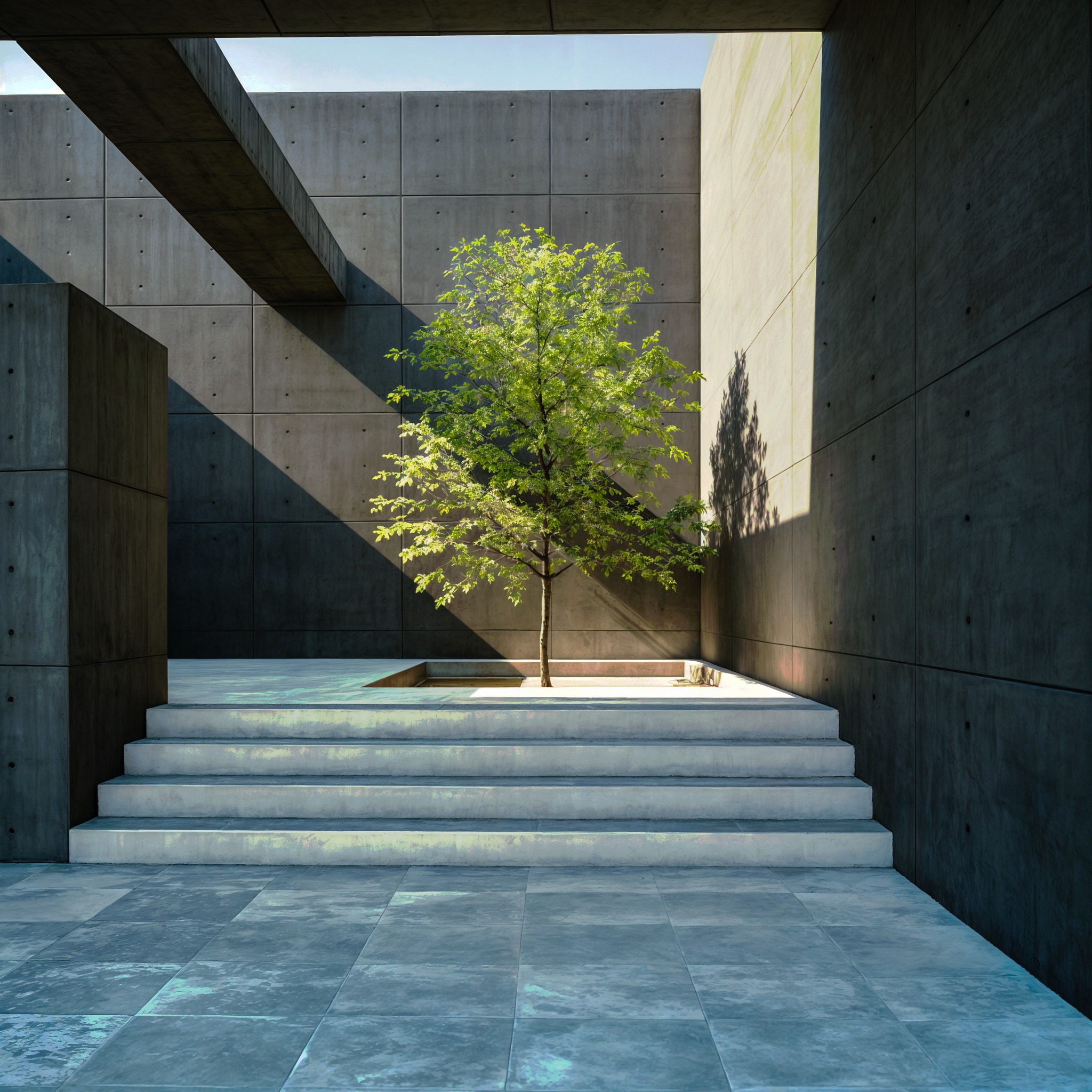 Visual of a solitary tree in a modern... - NP Visual Studio