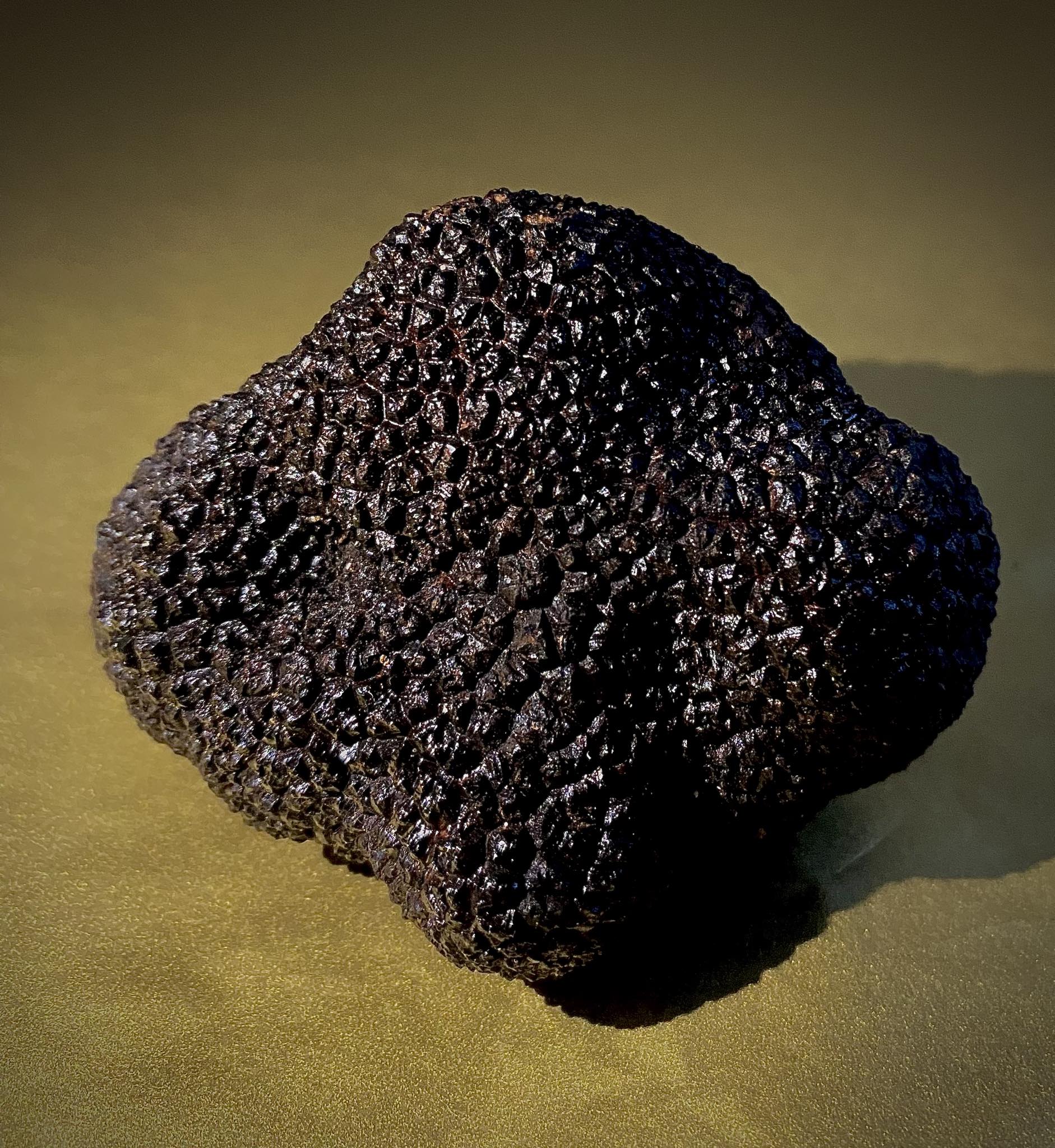 Maison Jamart - Truffes Noires