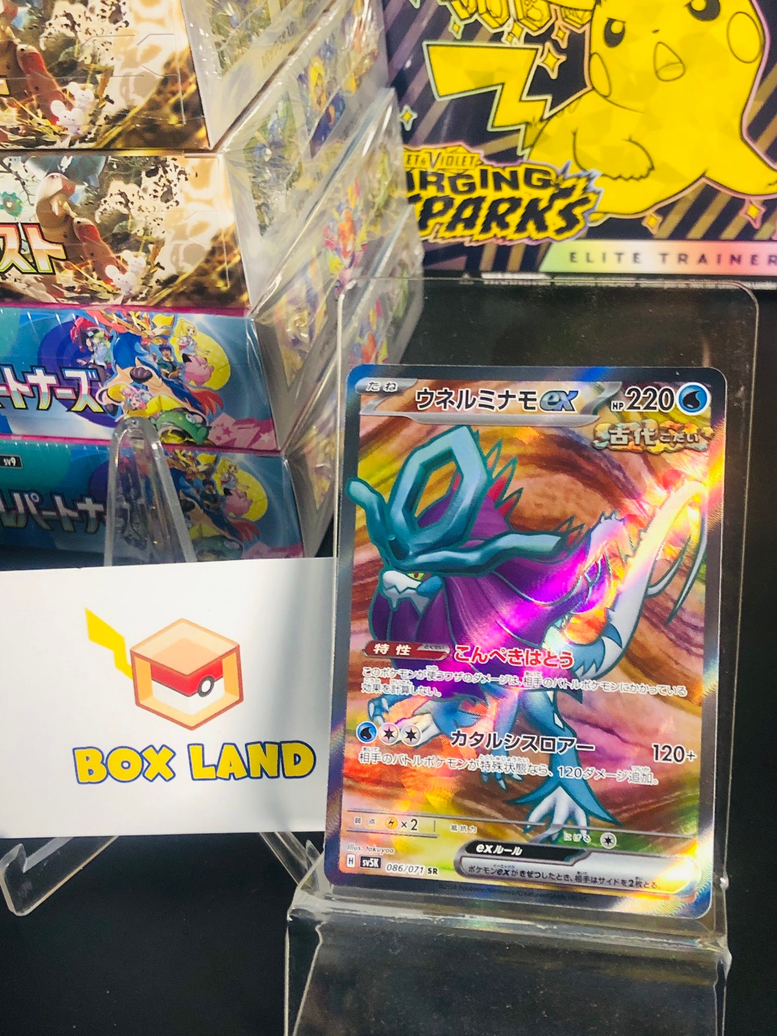 Box Land - Box Land added a new photo.