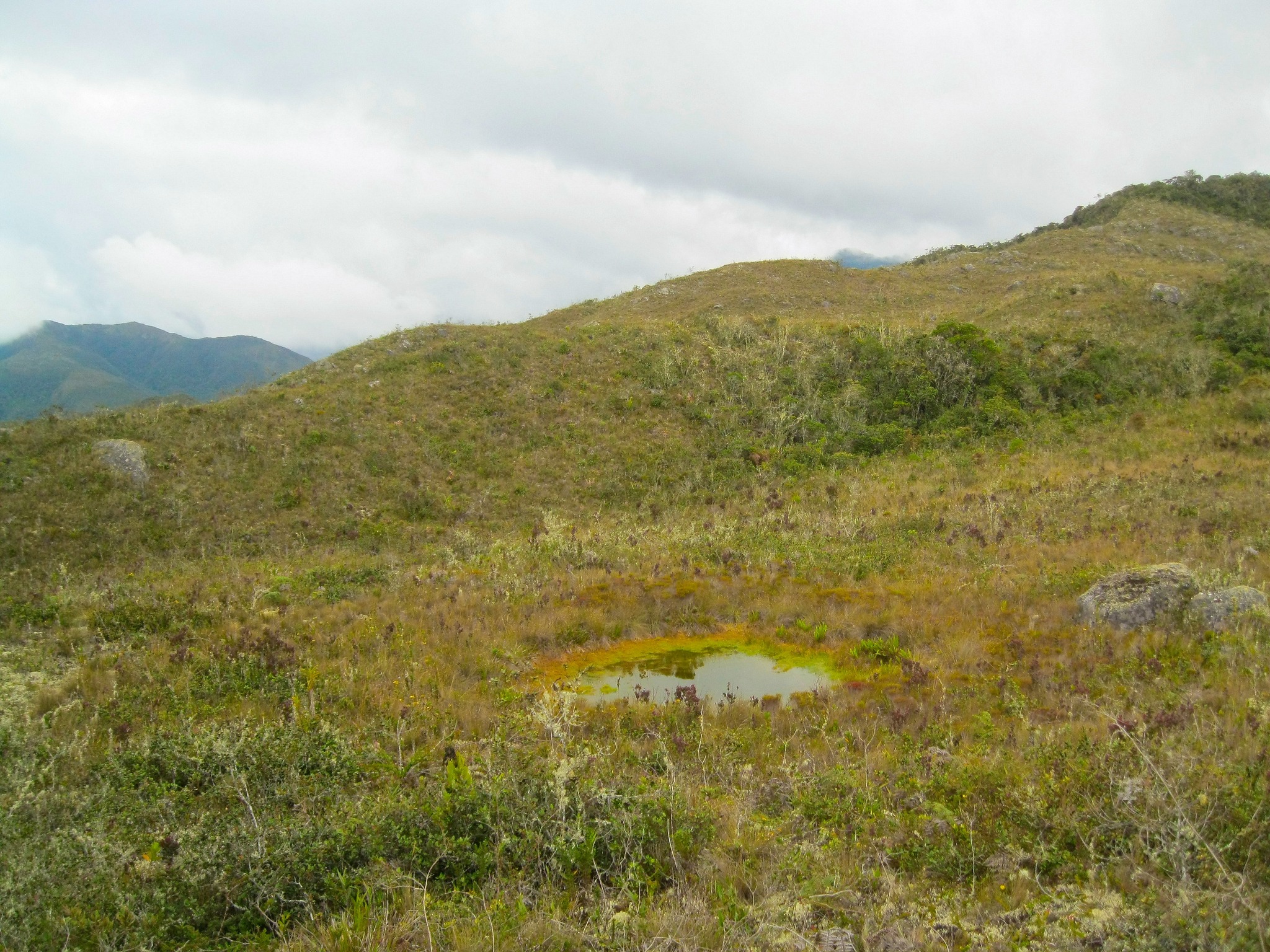 Yambrasbamba - Photo 5
