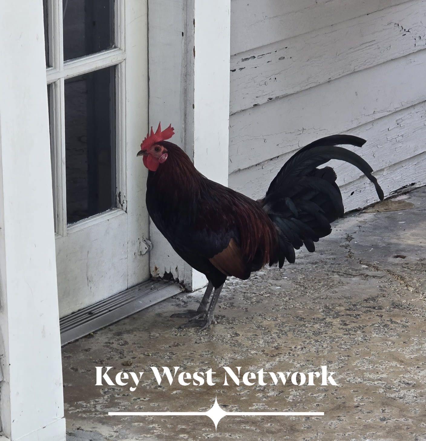 Key - Join our groups for Key West and the Florida Keys community. We ...
