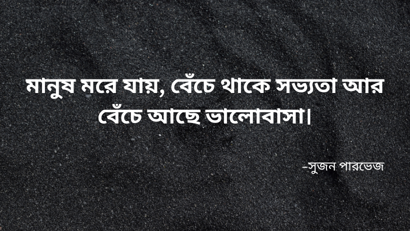 সুজন পারভেজ