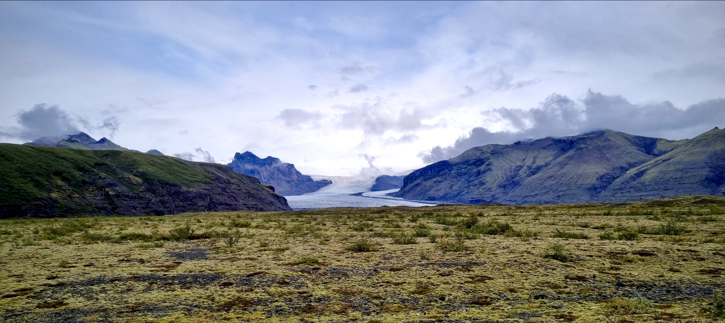 Miðflokksmenn - Baráttusíða