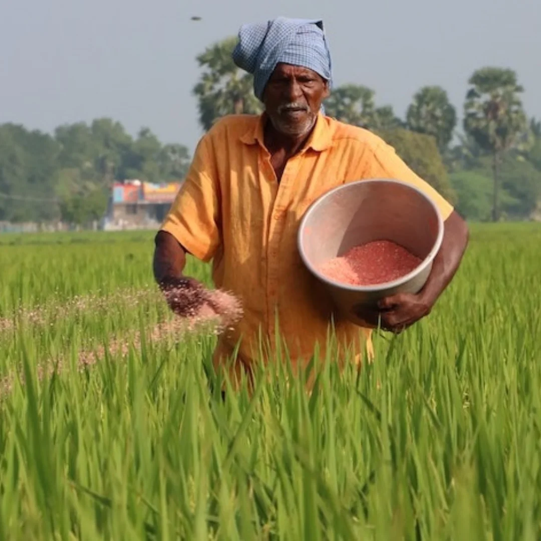 Noori Fertilizer Hasan
