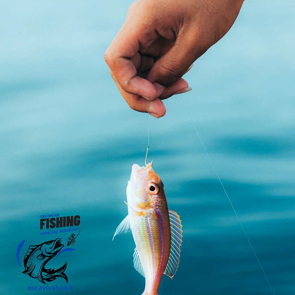 20g Esche da pesca in acqua salata Cucchiai ... - Aliexpress