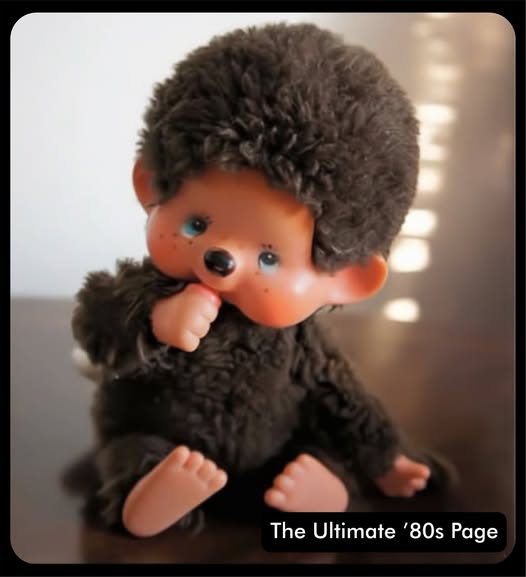 A Blast From The Past. Monchhichi