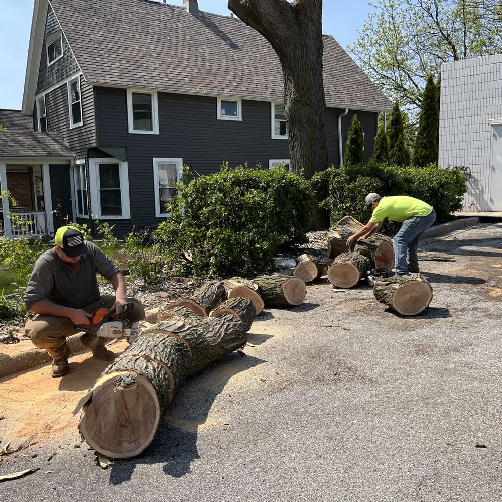 Ultimate Tree Service LLC | Downtown Morgantown WV