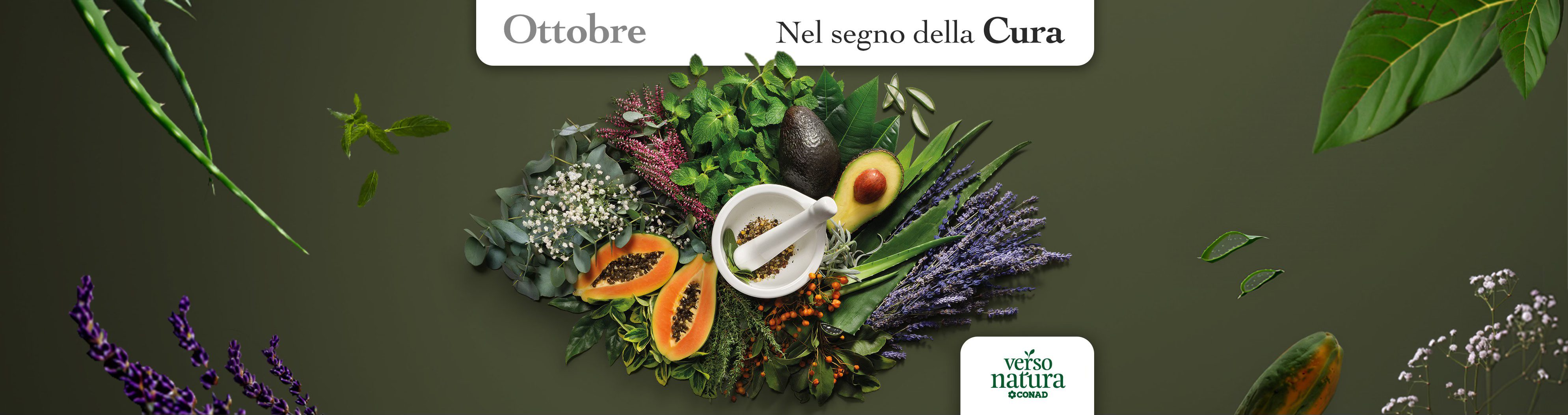Conad - Valle del Corace | Settingiano