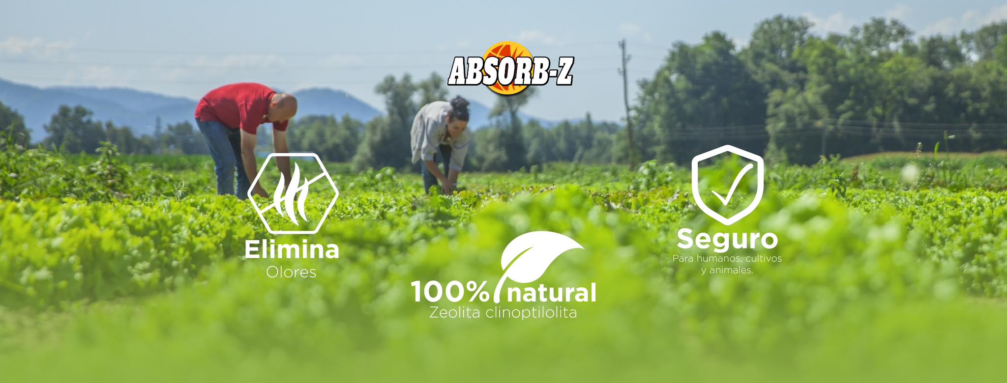 Absorb Z. Zeolita Costa Rica